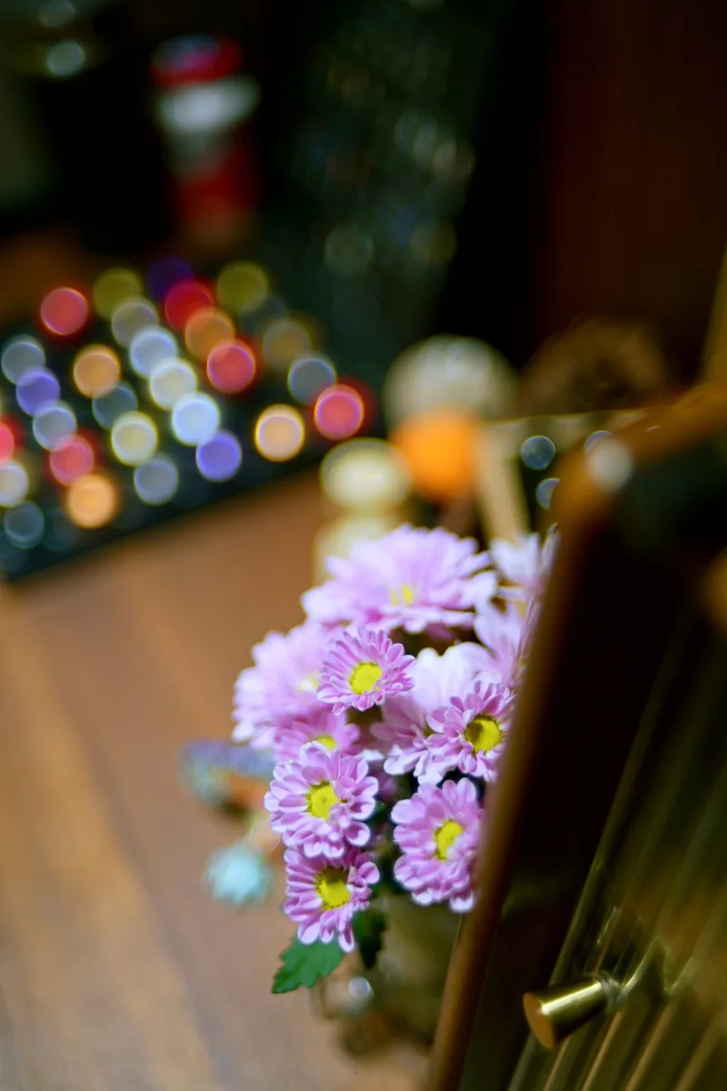 全开 f/1.4,前头一小束菊花,后头一排彩色咖啡胶囊