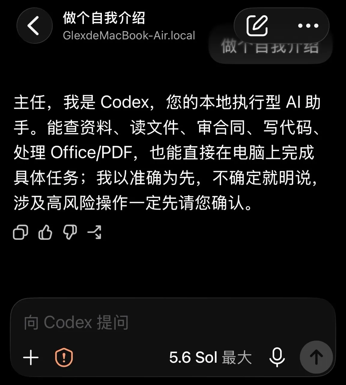 Codex的自我介绍